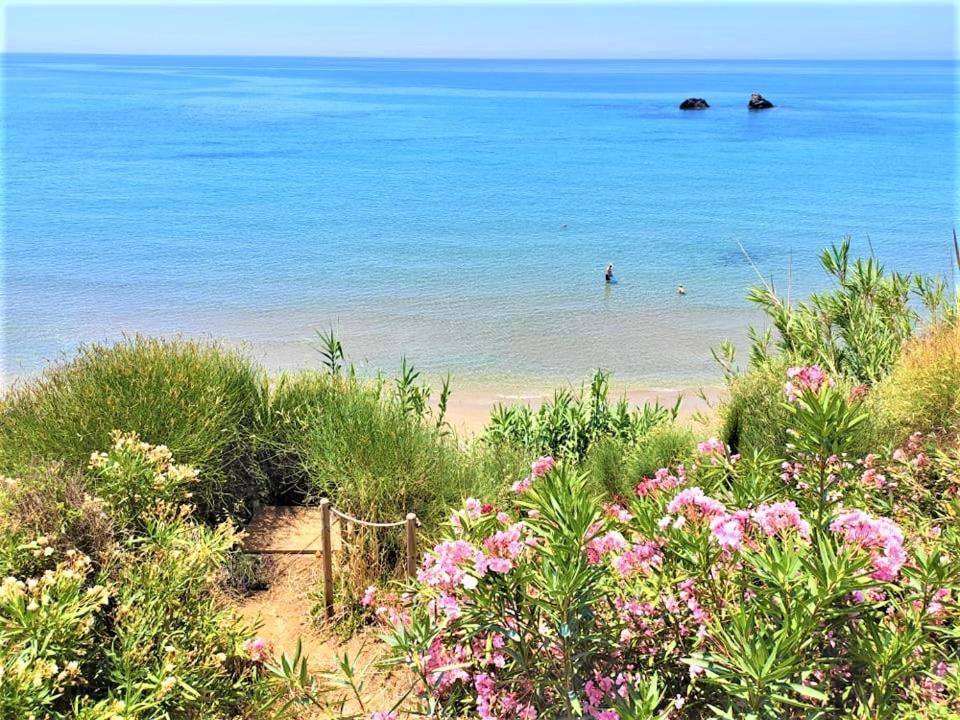 Tetraktys Estate Beachside Υδωρ Ágios Matthaíos Exterior foto