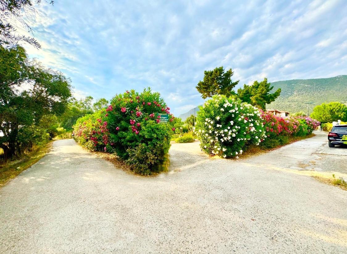 Tetraktys Estate Beachside Υδωρ Ágios Matthaíos Exterior foto