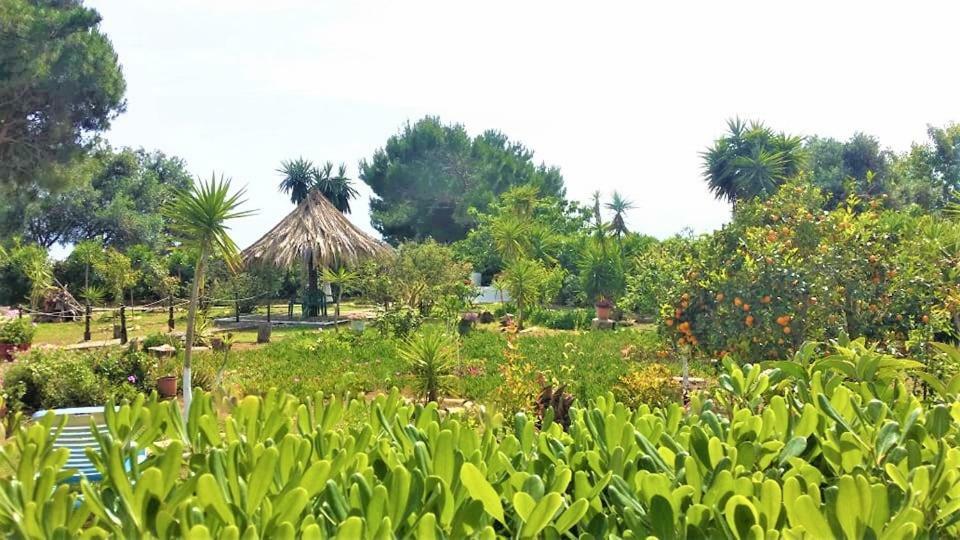 Tetraktys Estate Beachside Υδωρ Ágios Matthaíos Exterior foto